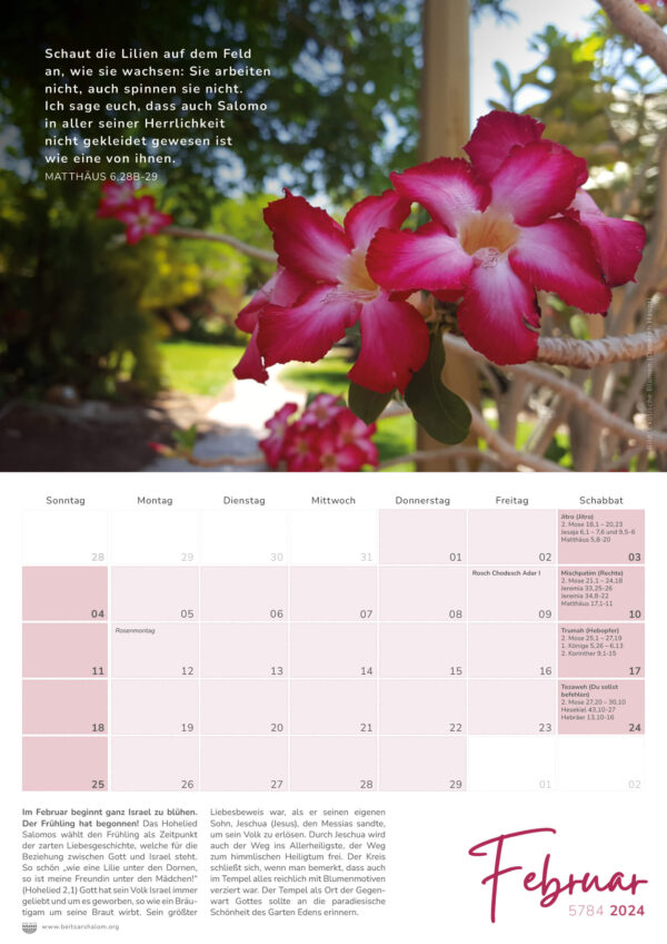 Israelkalender 2024 – Bild 3