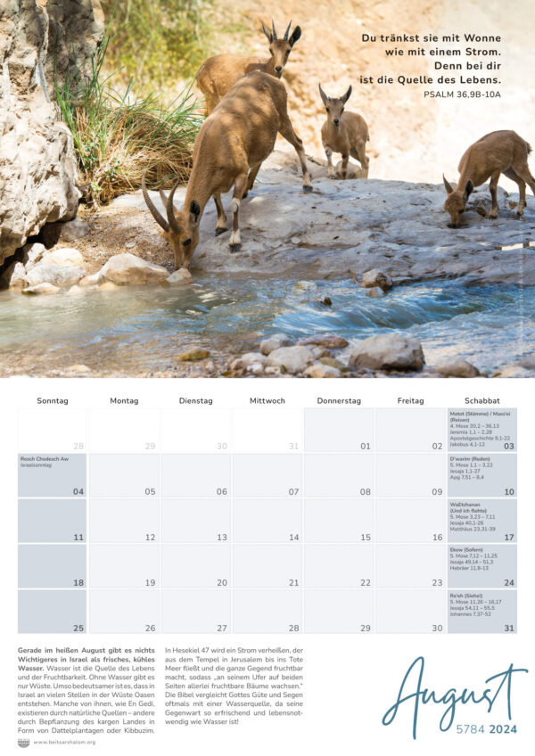 Israelkalender 2024 – Bild 4