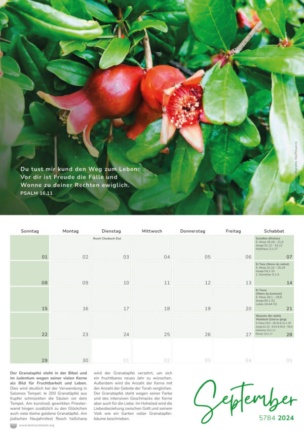 Israelkalender 2024 – Bild 5